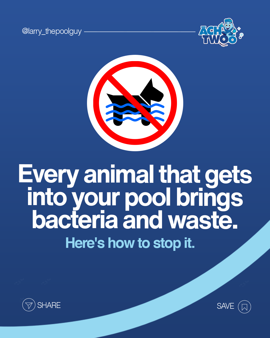 HOW TO KEEP DUCKS, FROGS AND WILDLIFE OUT OF YOUR INGROUND POOL FOR GOOD